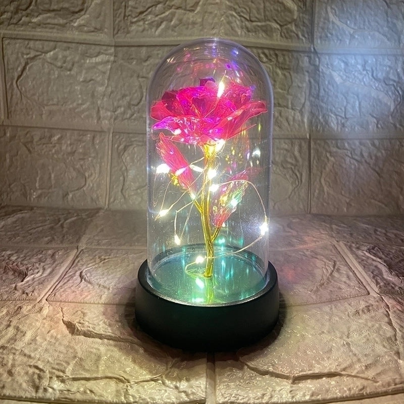 Romantic Pastoral Preserved Flower for Valentine's Day Party Decoration|Home Decor & Party Supplies