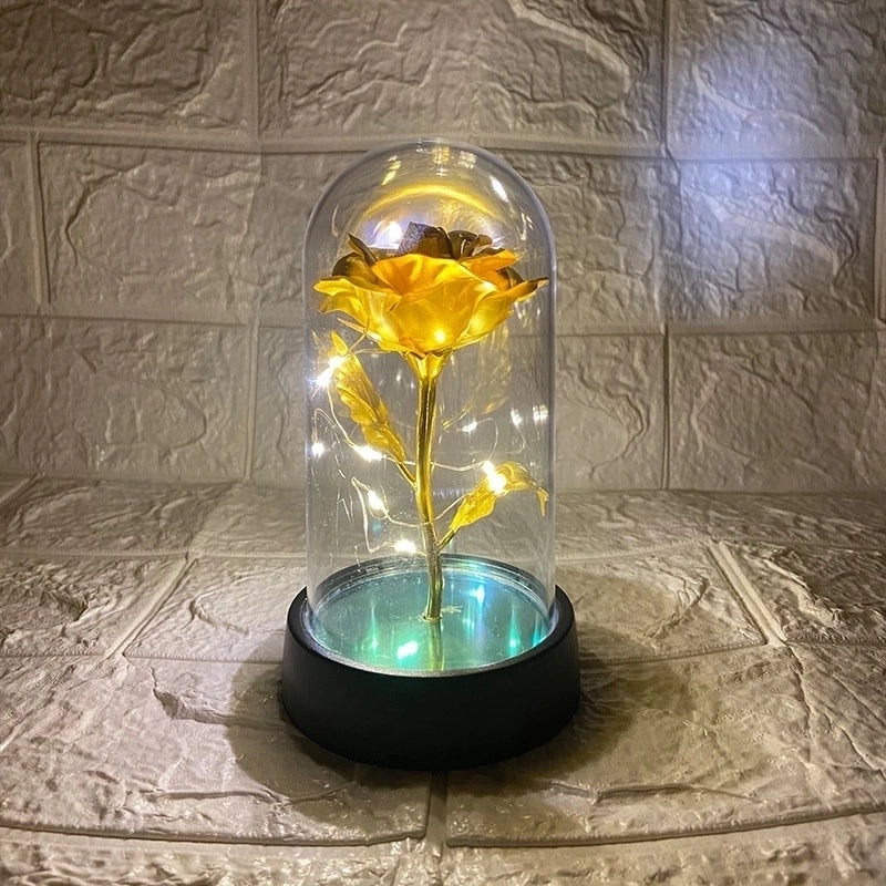 Romantic Pastoral Preserved Flower for Valentine's Day Party Decoration|Home Decor & Party Supplies