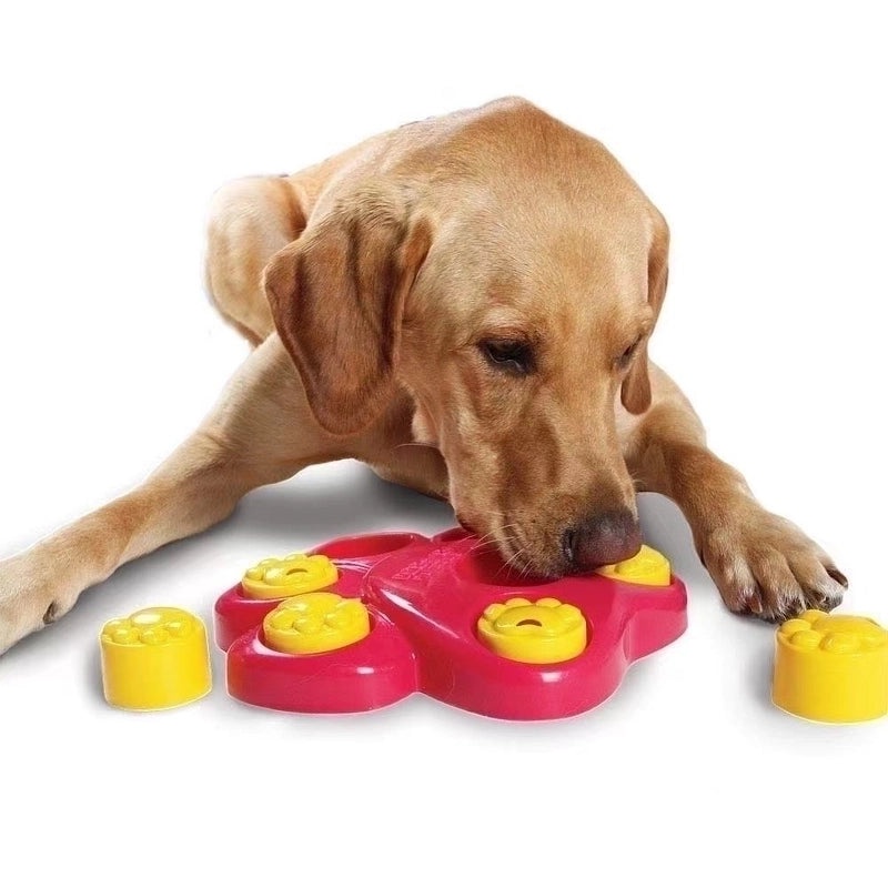 Eco-Friendly Minimalist Pet Toy Plastic Footprint Design 1 Piece|Pet Supplies Toys