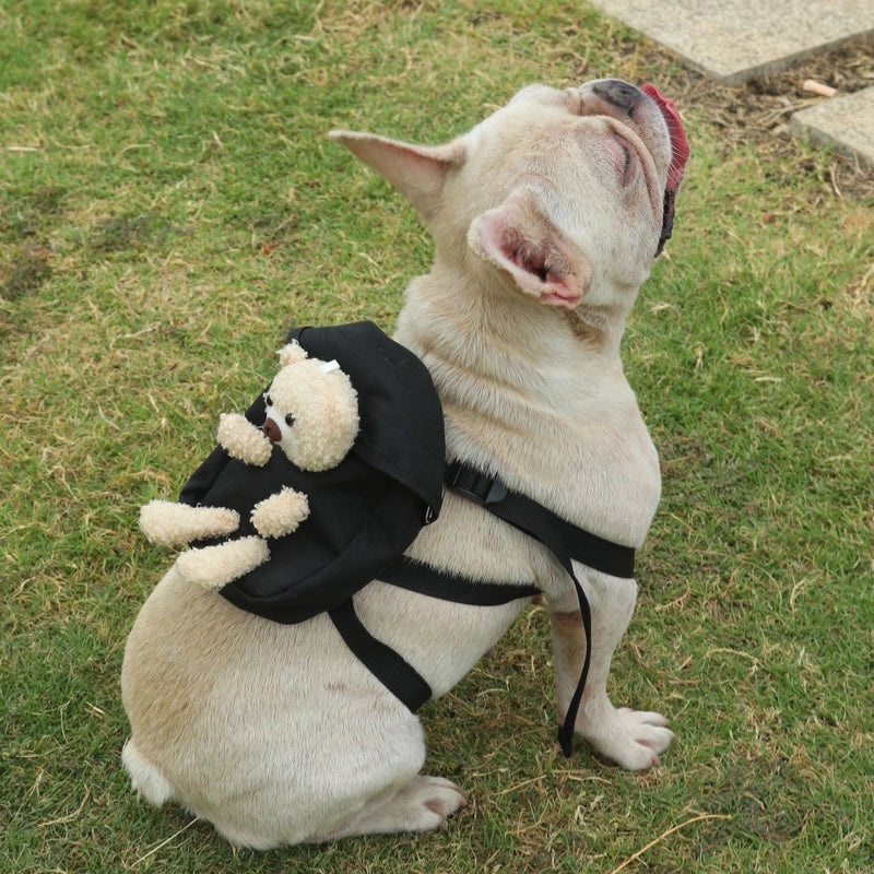 Cute Cartoon Turtle Print Polyester Kids Backpack|Kids Backpacks and Bags