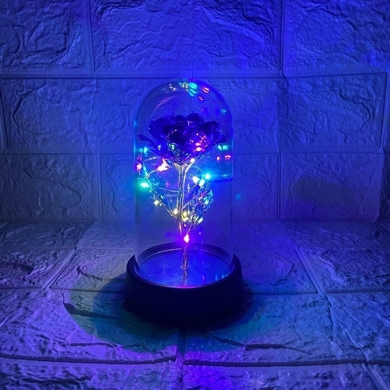 Romantic Pastoral Preserved Flower for Valentine's Day Party Decoration|Home Decor & Party Supplies