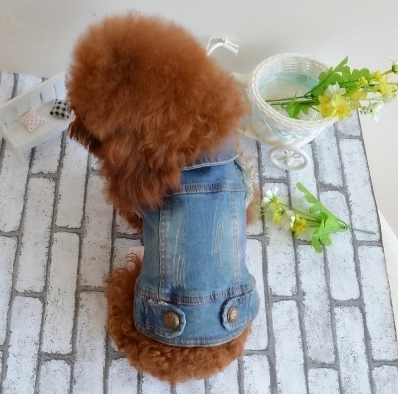 Personalized Retro Denim Vest for Small Dogs Autumn Winter Clothes Scratch Pattern Teddy Bichon Style|Pet Apparel & Accessories