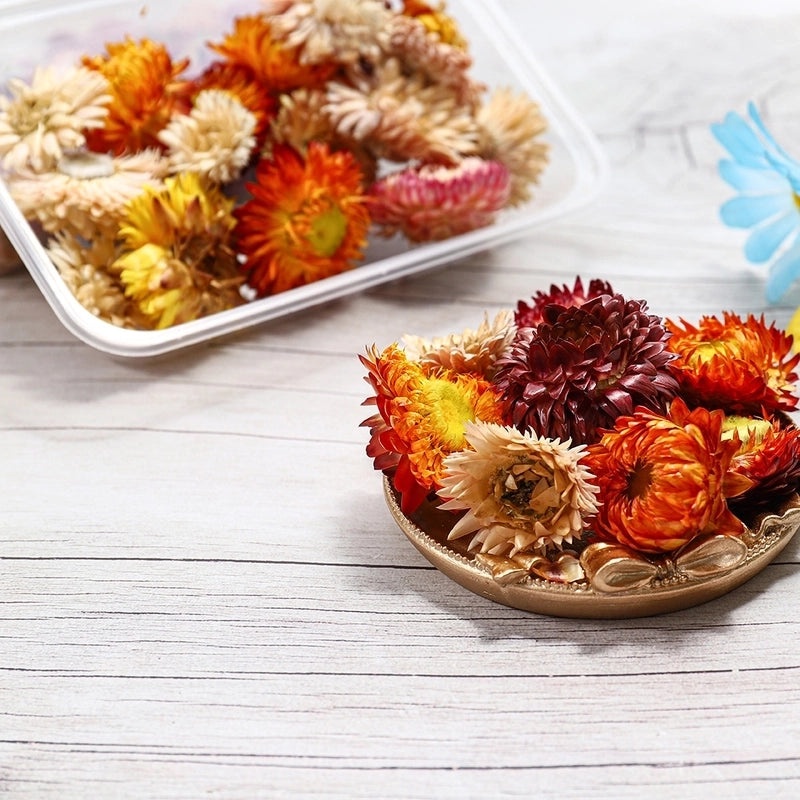 Preserved Dried Flower Bouquet for Party Decor|Home Decor & Party Supplies