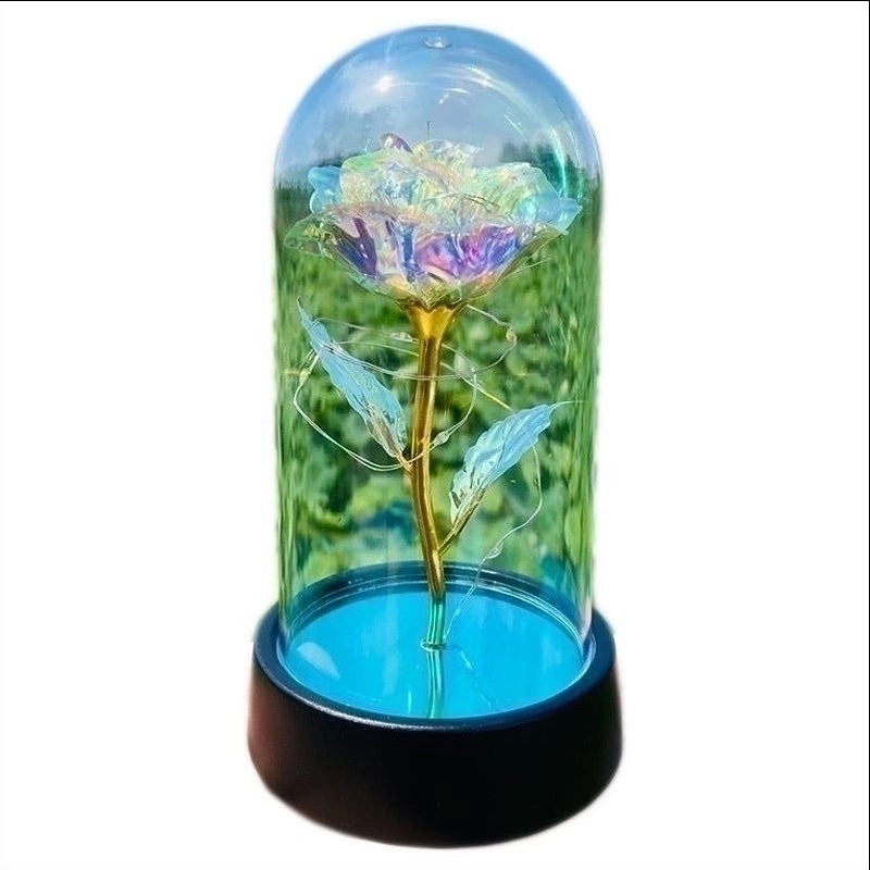 Romantic Pastoral Preserved Flower for Valentine's Day Party Decoration|Home Decor & Party Supplies