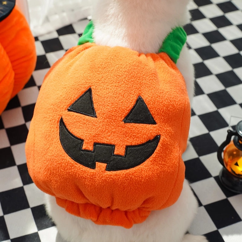 Classic Minimalist Polyester Halloween Pumpkin Pet Costume|Pet Clothing