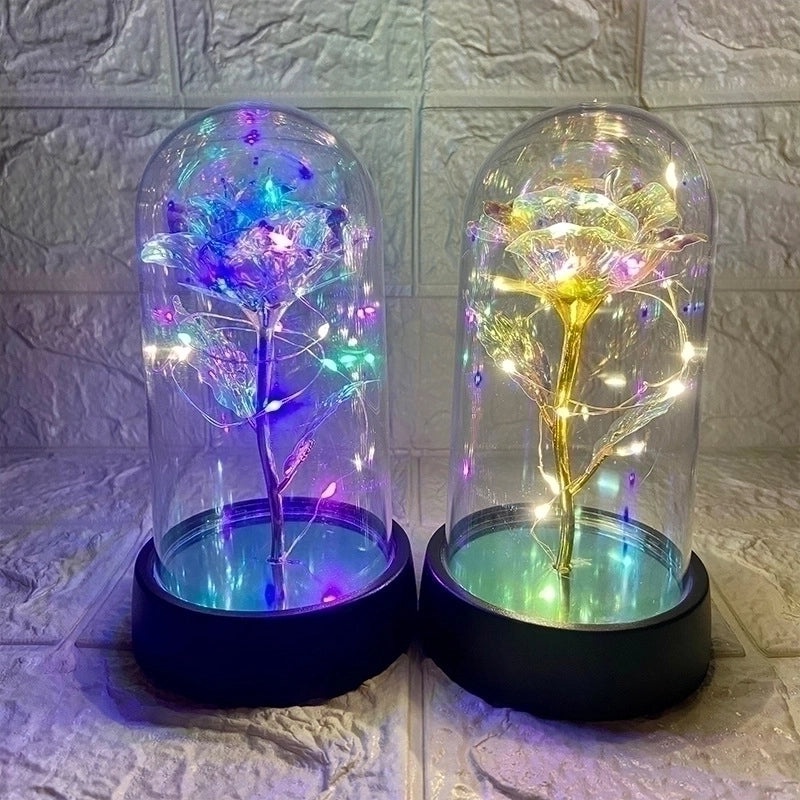 Romantic Pastoral Preserved Flower for Valentine's Day Party Decoration|Home Decor & Party Supplies