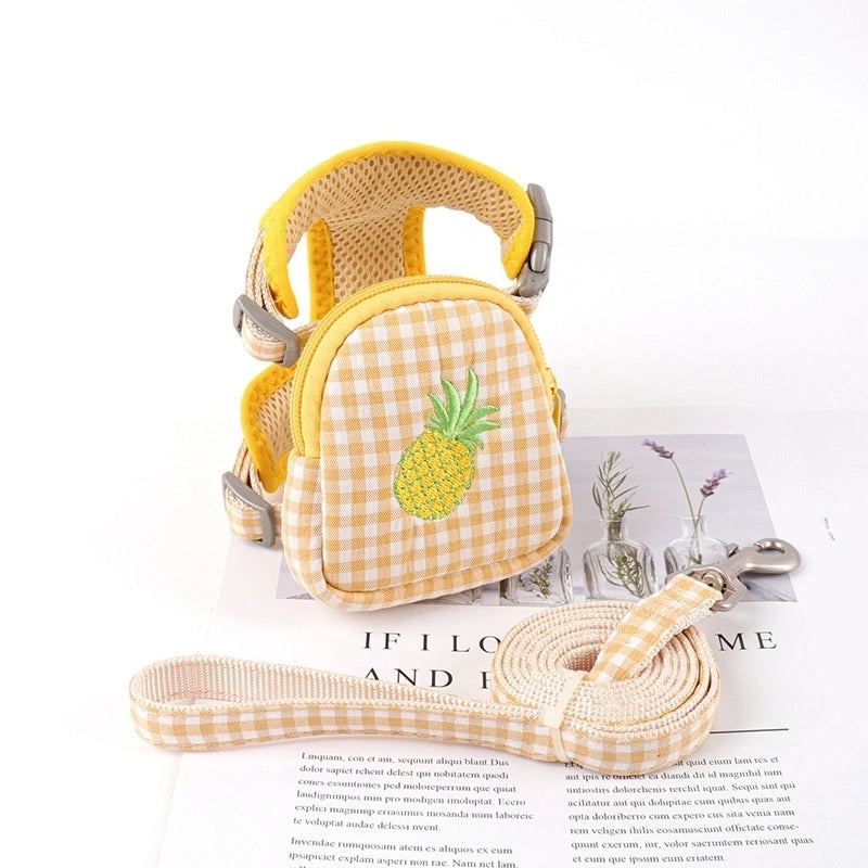 Simple Classic Polyester Color Block Leash for Pets|Pet Accessories