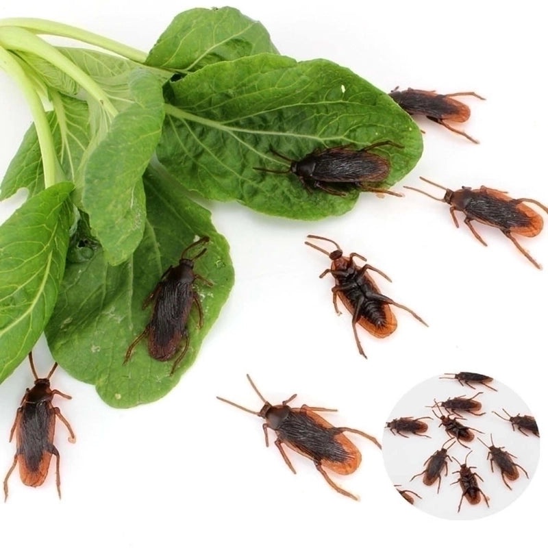 200pcs Realistic Fake Cockroach Toys for Pranks April Fool's Day Practical Joke Props|Novelty & Gag Gifts