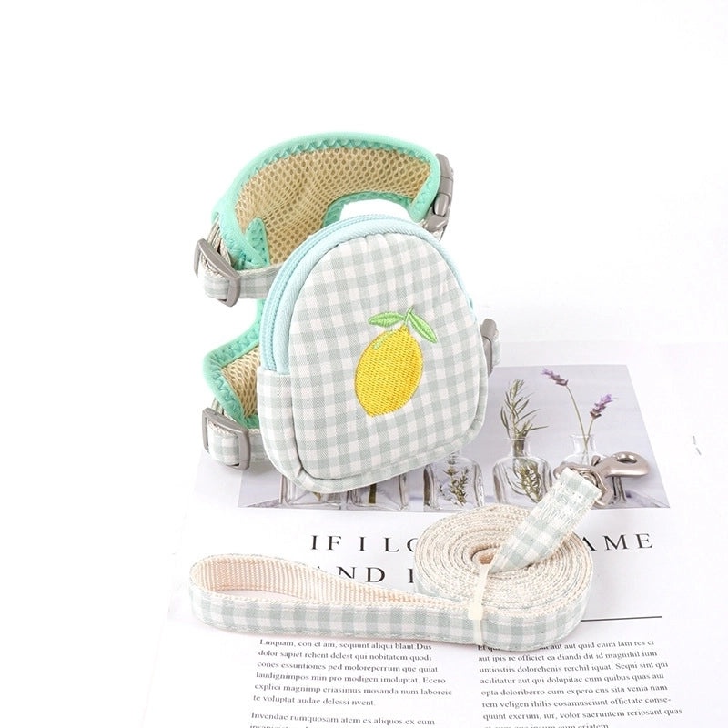 Simple Classic Polyester Color Block Leash for Pets|Pet Accessories