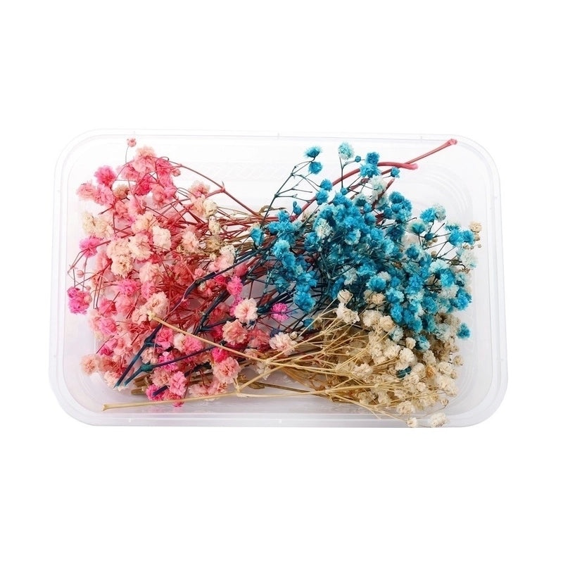 Preserved Dried Flower Bouquet for Party Decor|Home Decor & Party Supplies