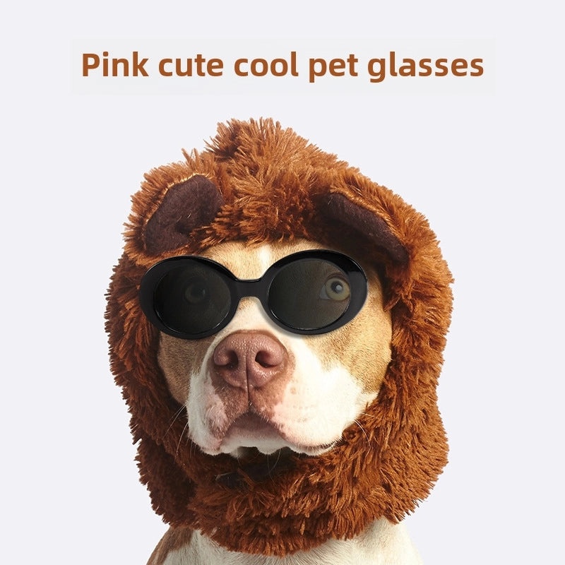 Pet Sunglasses for Dogs and Cats Cute British Short Hair Cat Puppy Photo Props Funny Dress Up | Pet Accessories