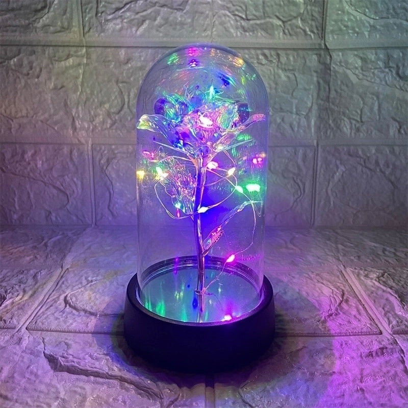 Romantic Pastoral Preserved Flower for Valentine's Day Party Decoration|Home Decor & Party Supplies