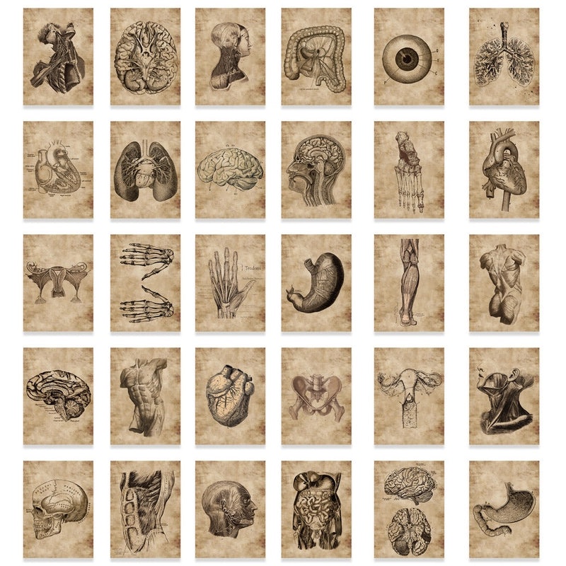 Retro Organ Eye PVC Set for Jewelry Making|Craft Supplies