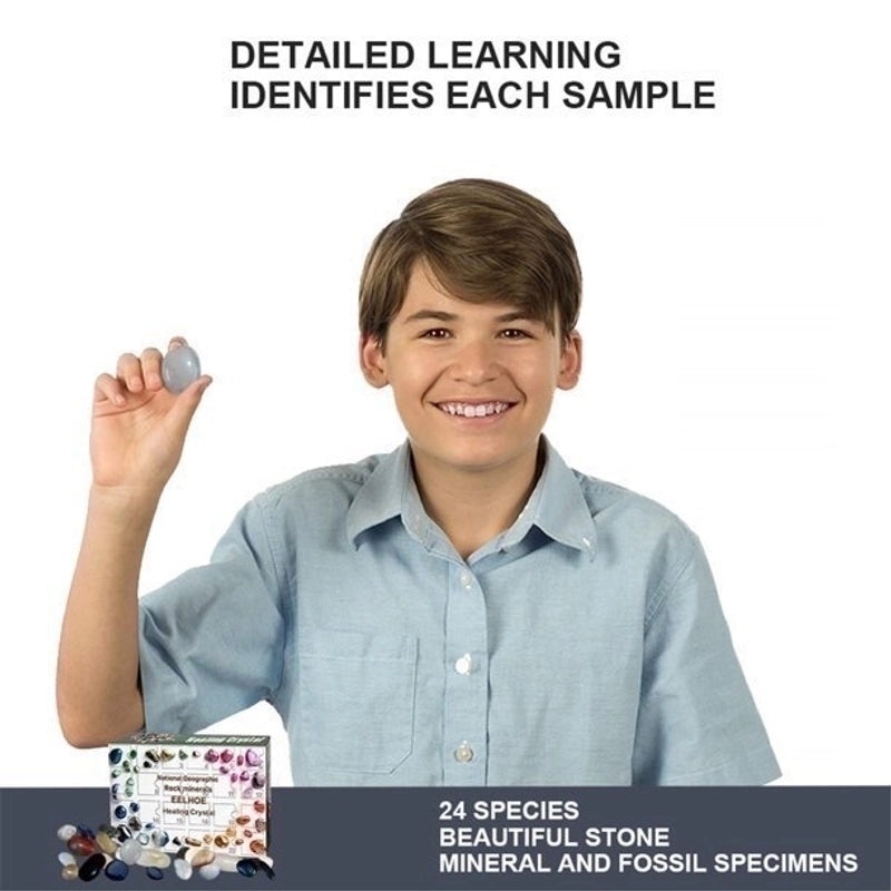 Christmas Minimalist Multicolor Party Packs|Party Supplies