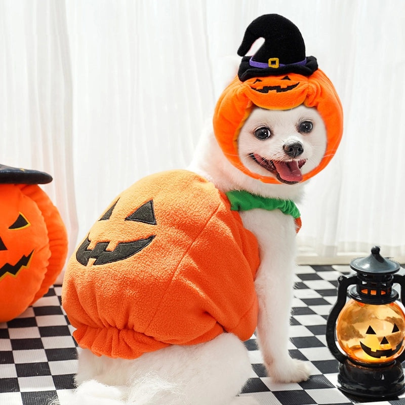 Classic Minimalist Polyester Halloween Pumpkin Pet Costume|Pet Clothing