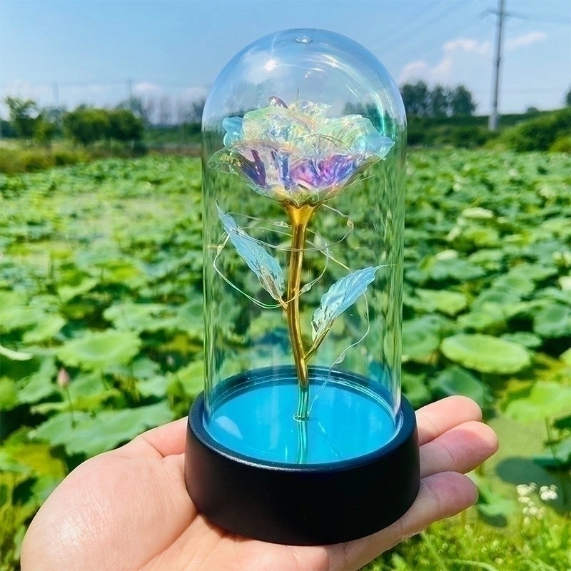 Romantic Pastoral Preserved Flower for Valentine's Day Party Decoration|Home Decor & Party Supplies