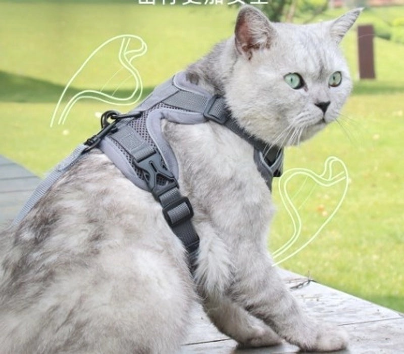 Reflective Breathable Dog Vest Harness with Hand-Holding Rope | Pet Harness & Leash