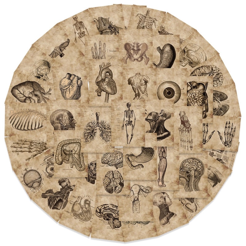 Retro Organ Eye PVC Set for Jewelry Making|Craft Supplies