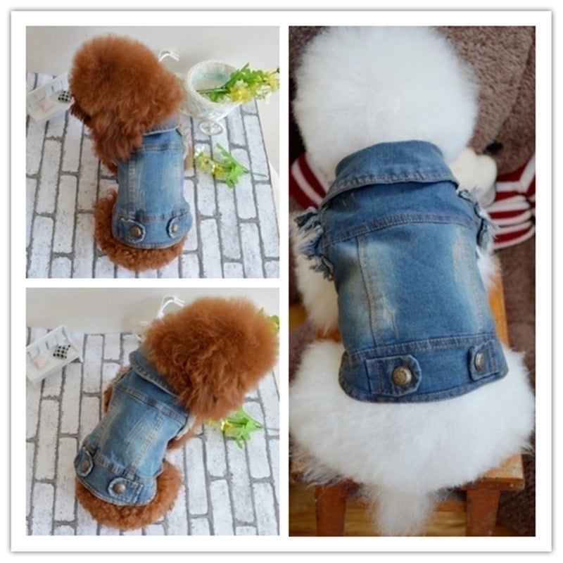 Personalized Retro Denim Vest for Small Dogs Autumn Winter Clothes Scratch Pattern Teddy Bichon Style|Pet Apparel & Accessories