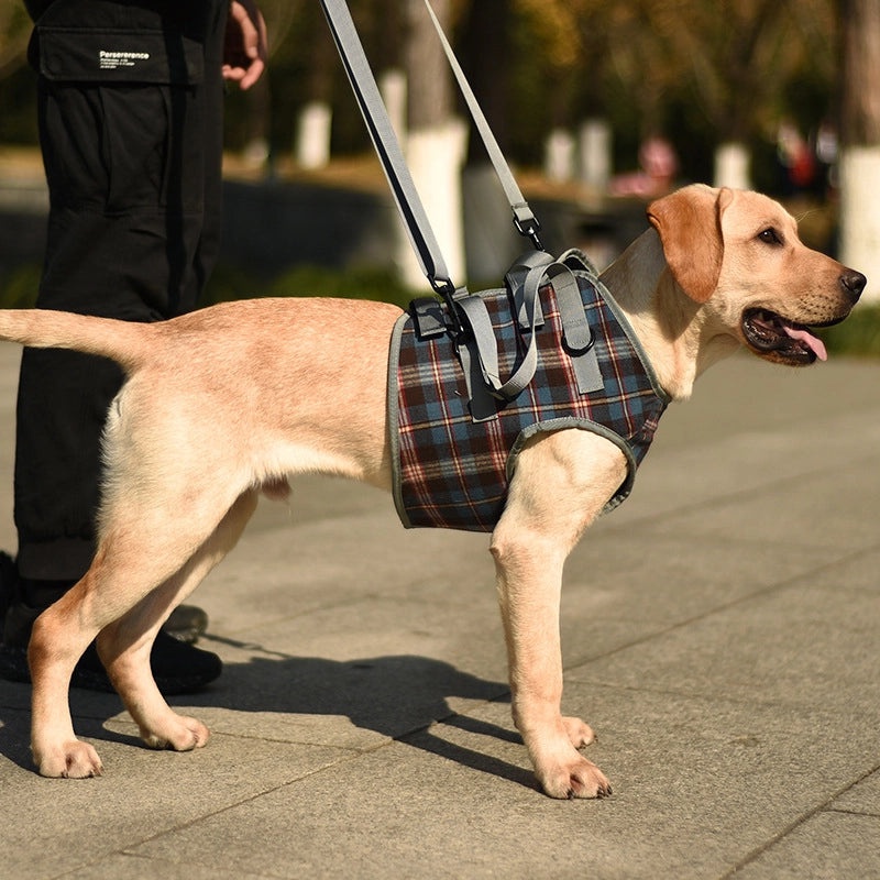 Elderly Dog Rehabilitation Harness for Hind Leg Injury Support | Dog Mobility Aids