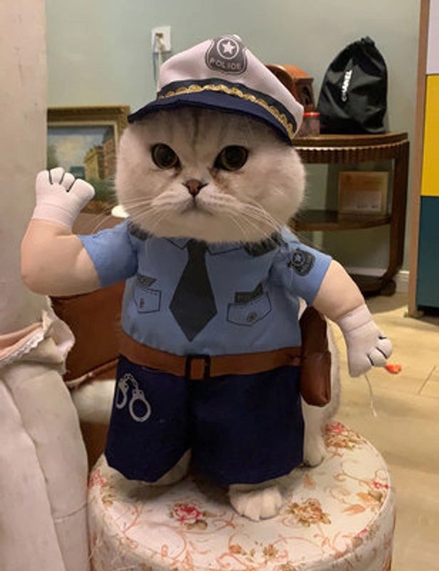 Funny Pet Police Costume for Cats|Pet Costumes