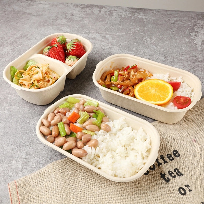 Eco-friendly Disposable Pulp Lunch Box for Takeout | Food Containers & Packaging