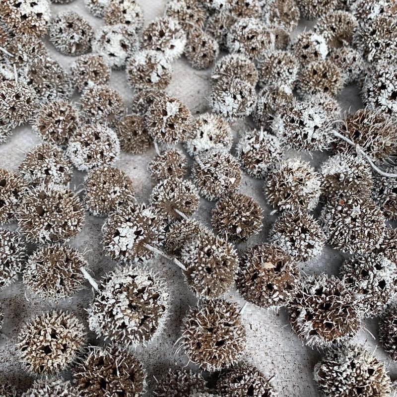 Festive Pine Cone Decorations for Christmas|Holiday Home Decor