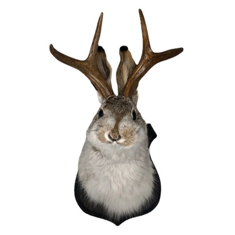 Minimalist Easter Rabbit Antler Hanging Ornament Plastic Indoor Party Decoration | Home Decor