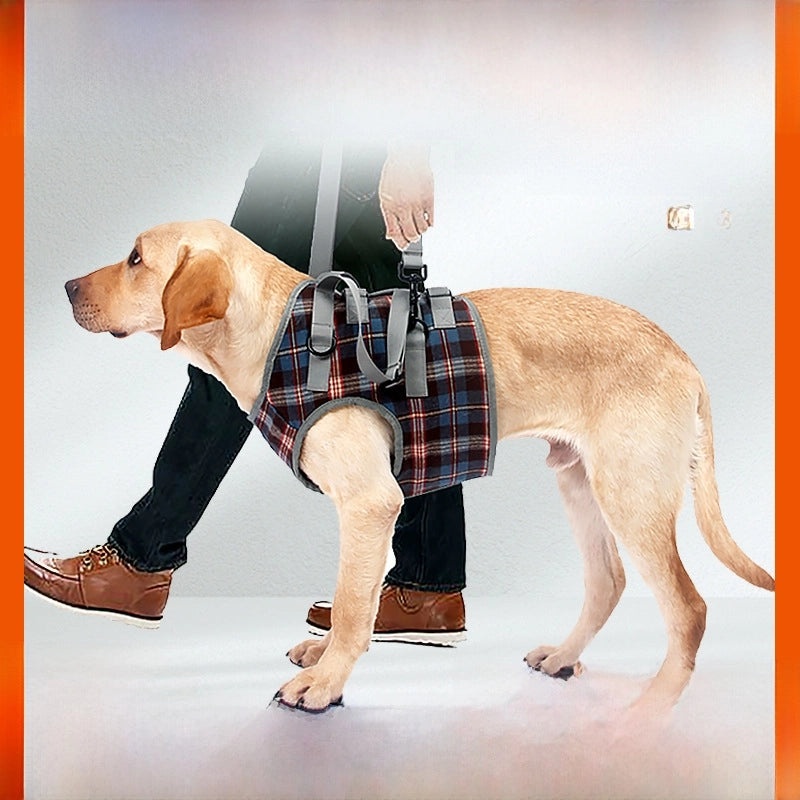 Elderly Dog Rehabilitation Harness for Hind Leg Injury Support | Dog Mobility Aids