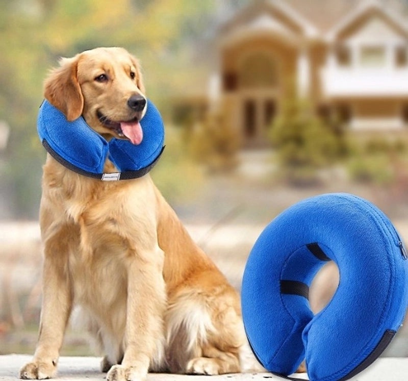 Simple PVC Solid Color Pet Collar for Everyday Wear|Pet Accessories