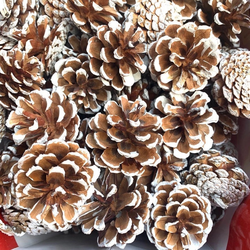 Festive Pine Cone Decorations for Christmas|Holiday Home Decor