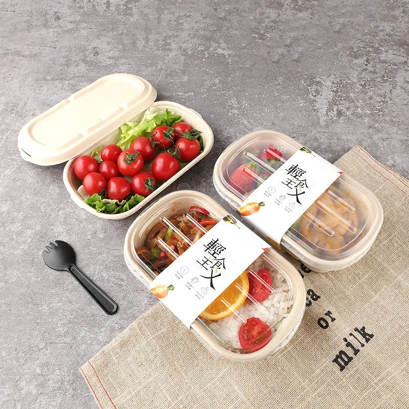 Eco-friendly Disposable Pulp Lunch Box for Takeout | Food Containers & Packaging