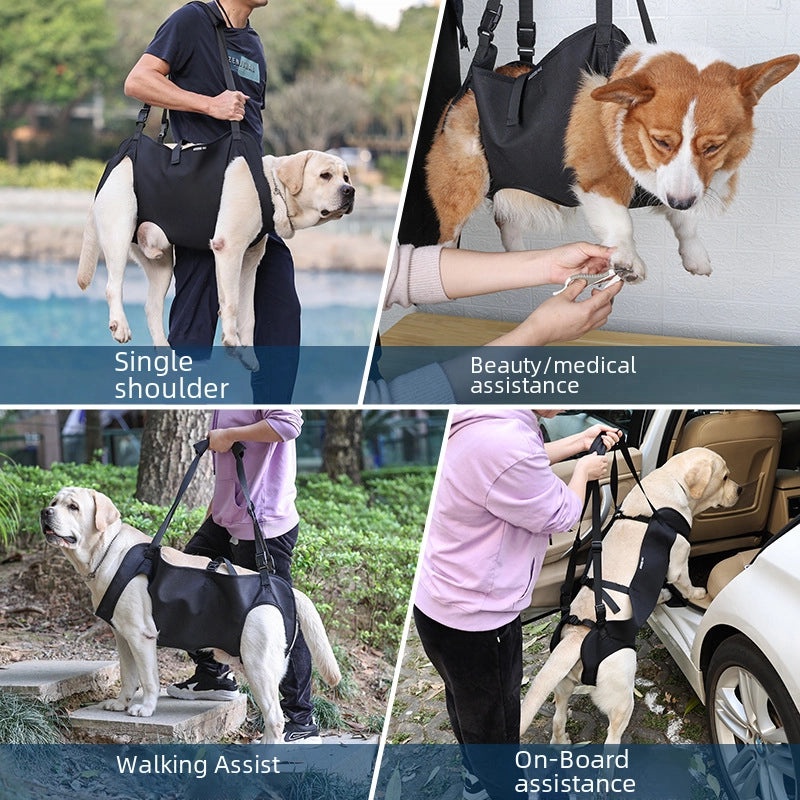 Elderly Dog Support Harness | Pet Rehabilitation Equipment