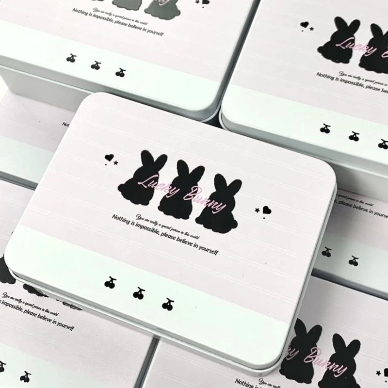 Cute Pink and Blue Rabbit Iron Storage Box for IG Style|Home Decor Storage