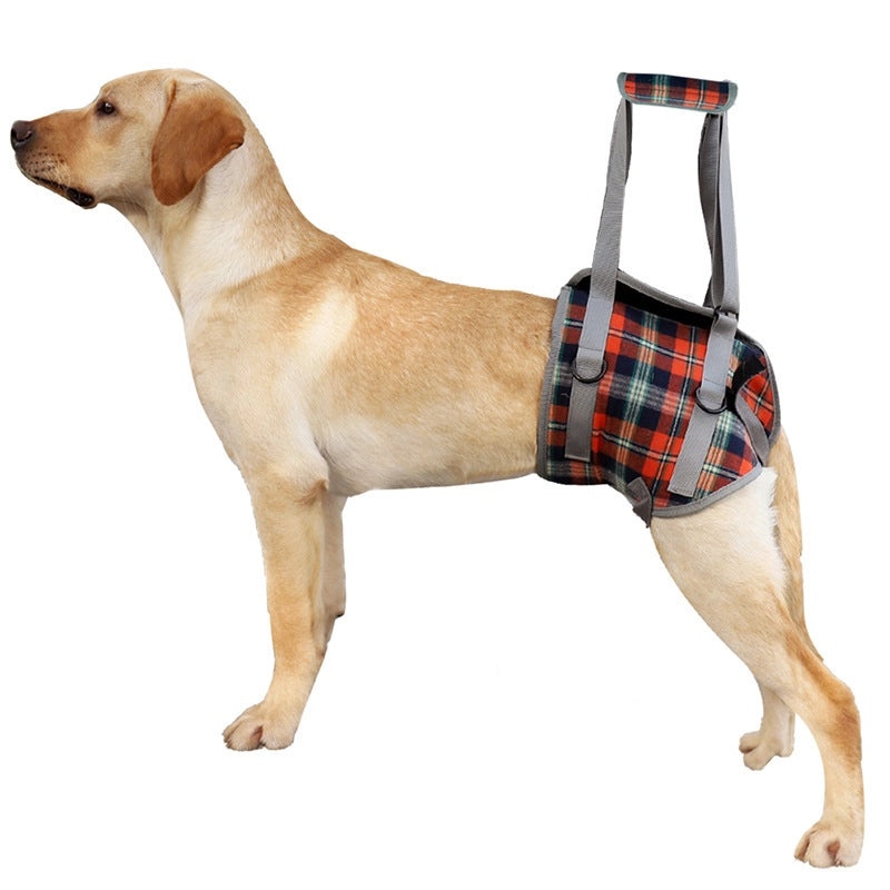Elderly Dog Rehabilitation Harness for Hind Leg Injury Support | Dog Mobility Aids