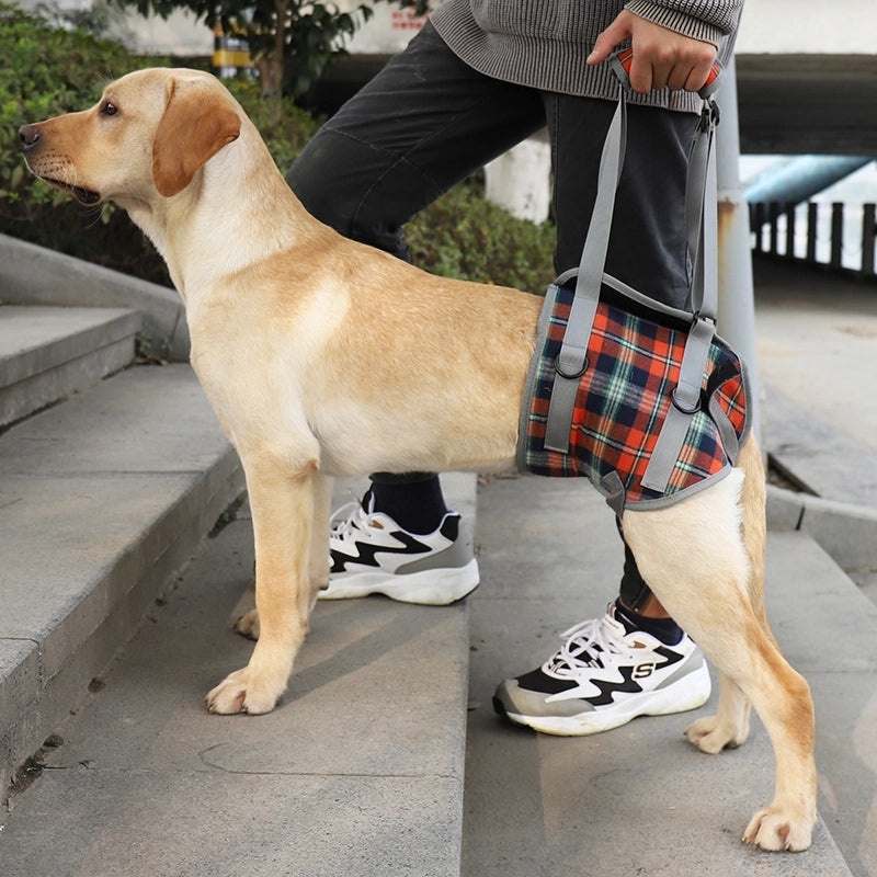 Elderly Dog Rehabilitation Harness for Hind Leg Injury Support | Dog Mobility Aids