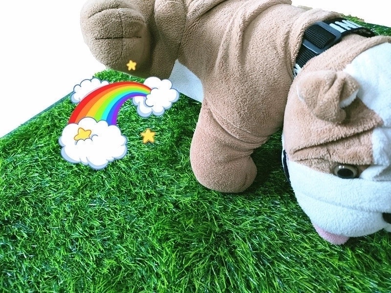 Minimalist Solid Color Pet Pad Made of PE and TPR for Comfortable Use|Pet Accessories