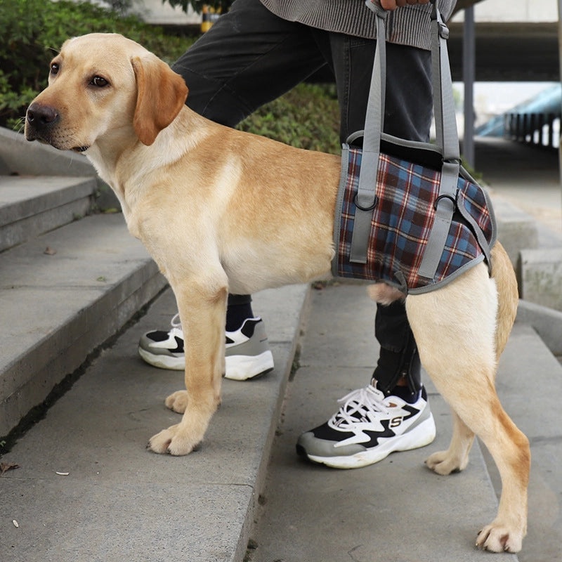 Elderly Dog Rehabilitation Harness for Hind Leg Injury Support | Dog Mobility Aids