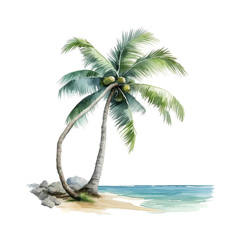 Tropical Coconut Tree PVC Wall Decal for Living Room | Home Decor Wall Stickers