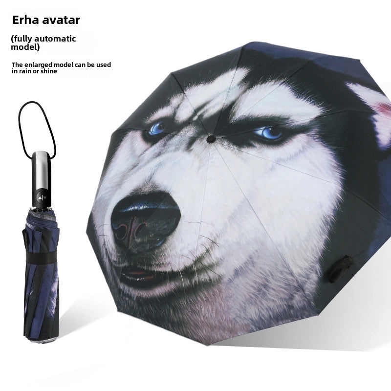 Windproof Compact Travel Umbrella for Outdoor Activities | Outdoor Gear & Accessories