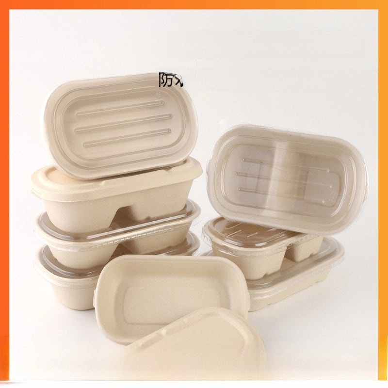 Eco-friendly Disposable Pulp Lunch Box for Takeout | Food Containers & Packaging