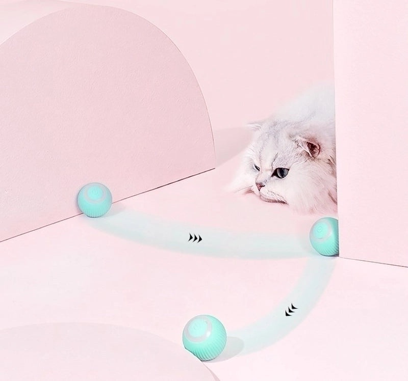 Durable Classic Solid Color Silica Gel Pet Toys for Dogs and Cats|Pet Supplies - Pet Toys