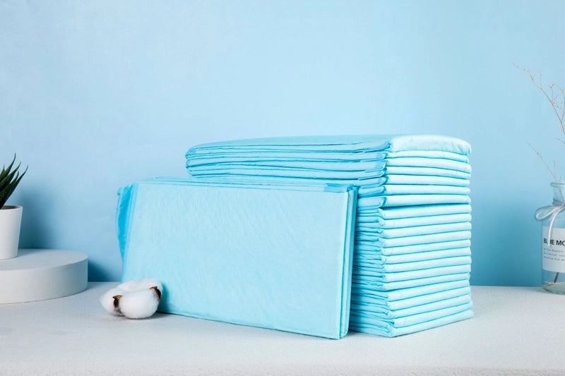 Absorbent Pet Diaper for Dogs and Cats|Pet Supplies
