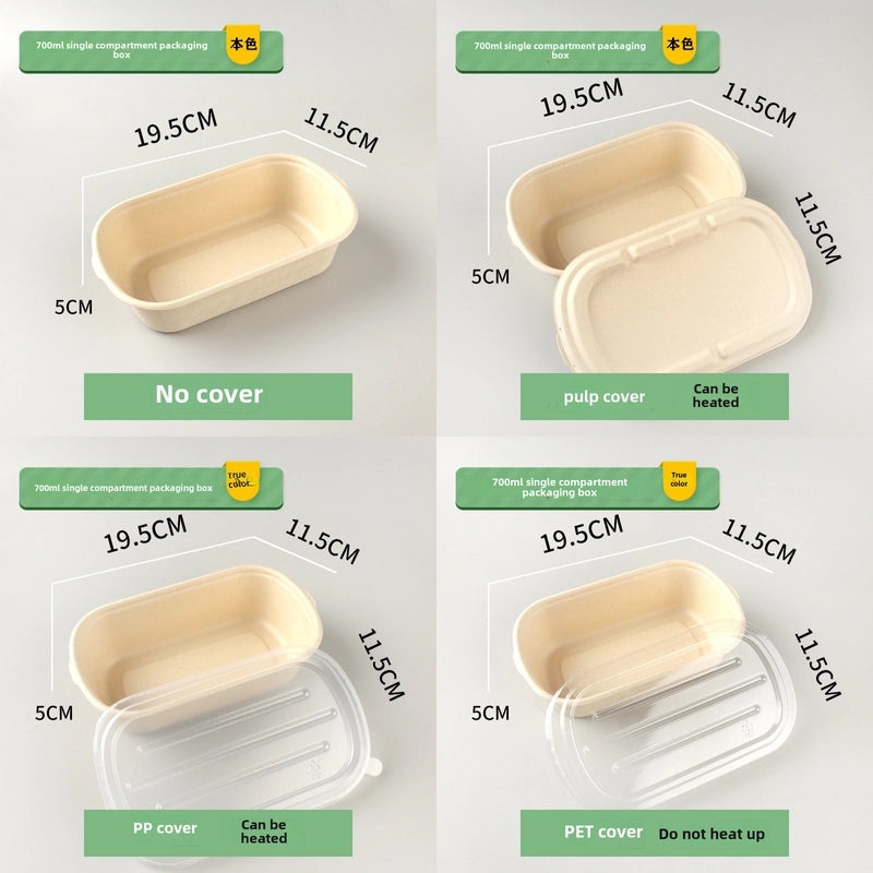 Eco-friendly Disposable Pulp Lunch Box for Takeout | Food Containers & Packaging