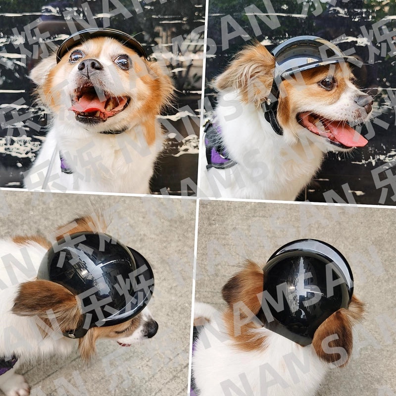 Pet Helmet for Dogs and Cats Motorbike Safety Hat Accessories Headwear Factory Direct Sales|Pet Safety Accessories