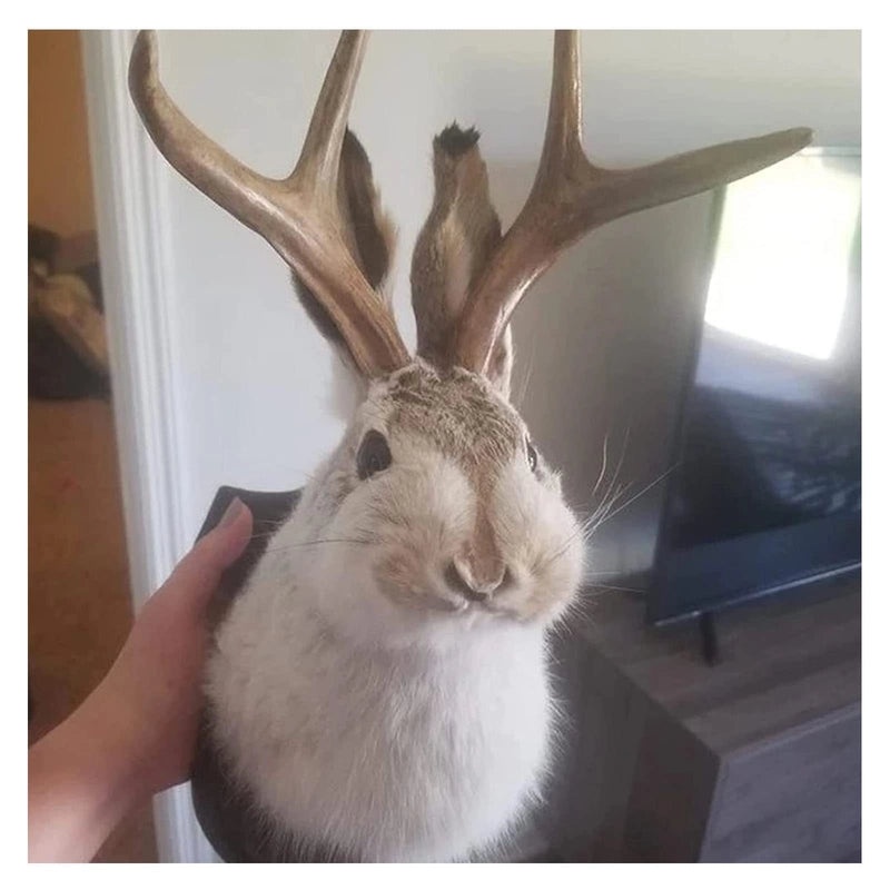 Minimalist Easter Rabbit Antler Hanging Ornament Plastic Indoor Party Decoration | Home Decor