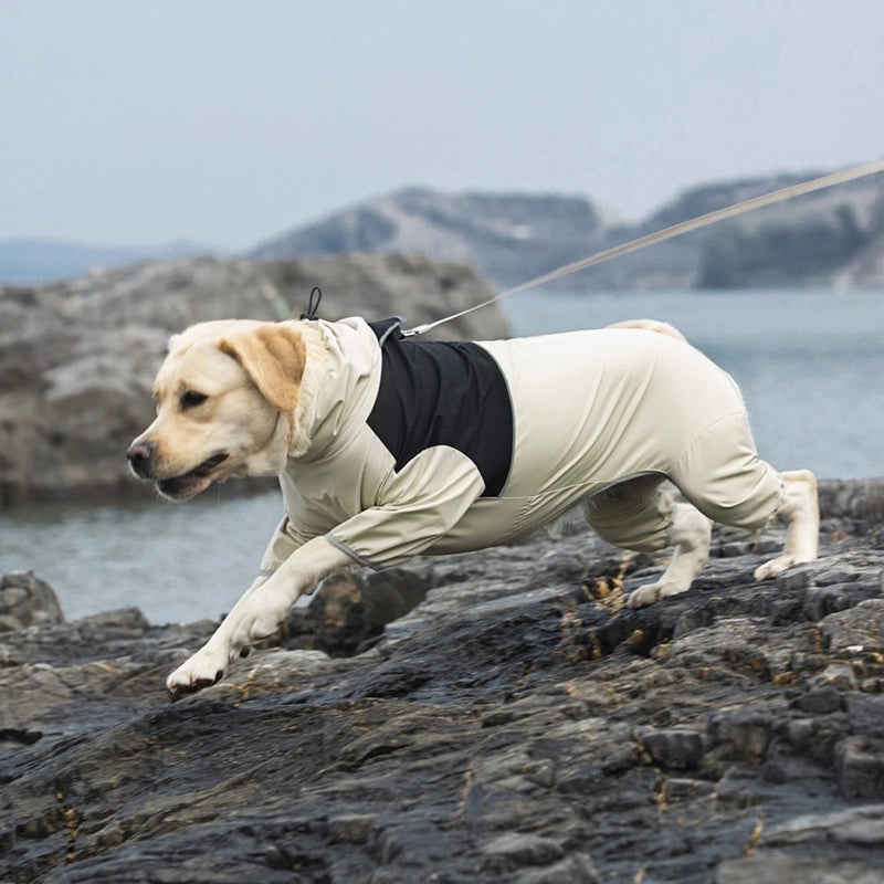 Waterproof Raincoat for Medium & Large Dogs Labrador Golden Retriever Pet Four-legged Jacket|Pet Apparel & Accessories