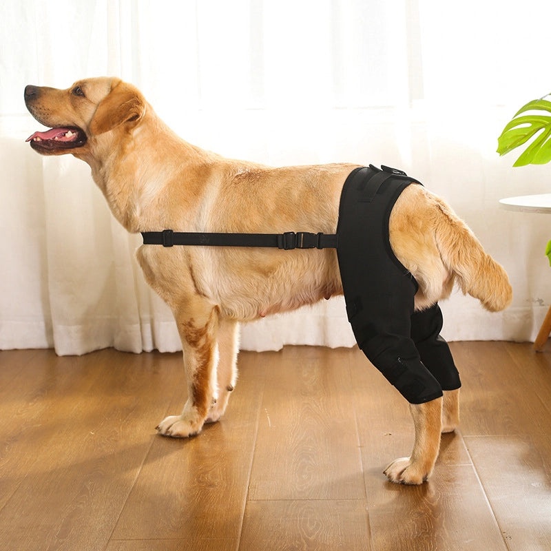 Pet Joint and Leg Protector for Dogs, Knee and Elbow Support Guard | Pet Accessories