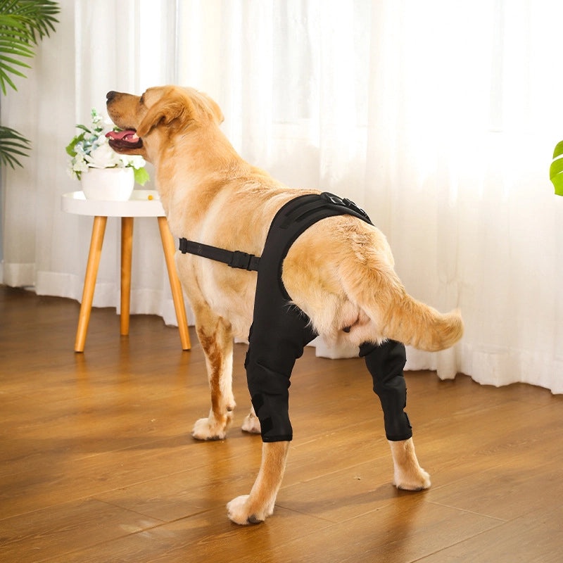 Pet Joint and Leg Protector for Dogs, Knee and Elbow Support Guard | Pet Accessories