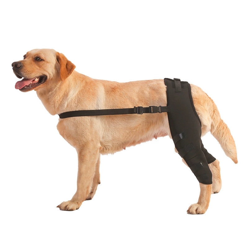 Pet Joint and Leg Protector for Dogs, Knee and Elbow Support Guard | Pet Accessories